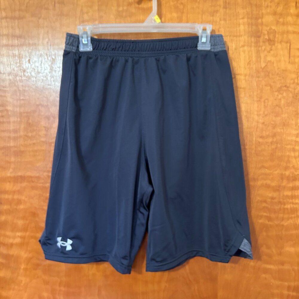 Under Armour Dri-Fit Shorts (b)